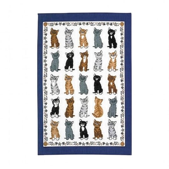 Kittens Arrived Cotton Tea Towel in Blue