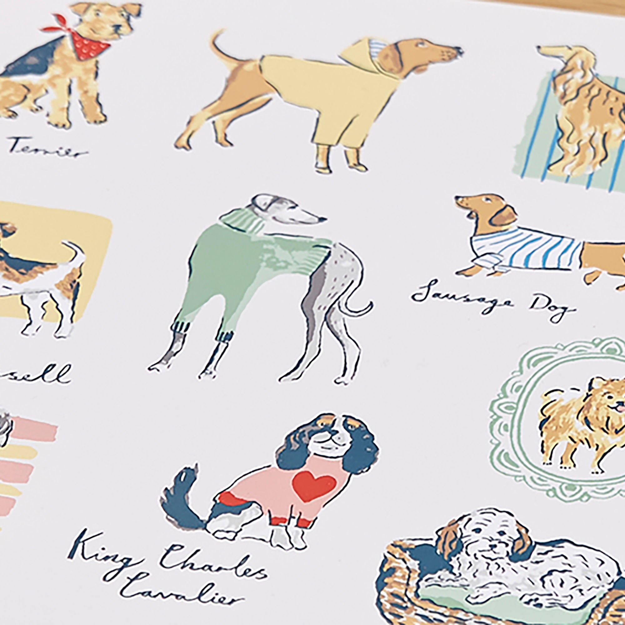 Ulster Weavers Best In Show Placemat - 4 Pack One Size in Multi - Placemat - Ulster Weavers