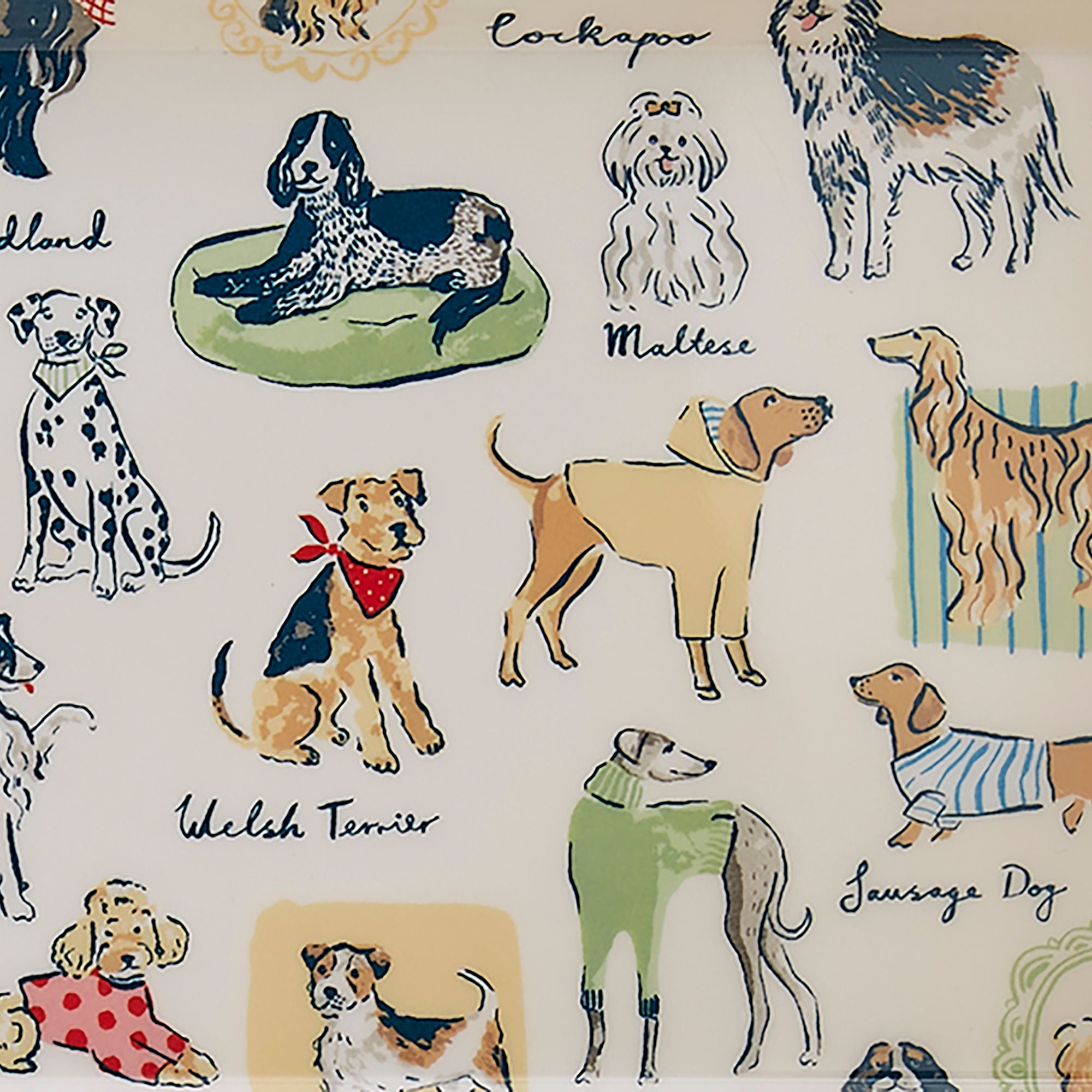 Ulster Weavers Best In Show Tray - Small One Size in Multi - Tray - Ulster Weavers