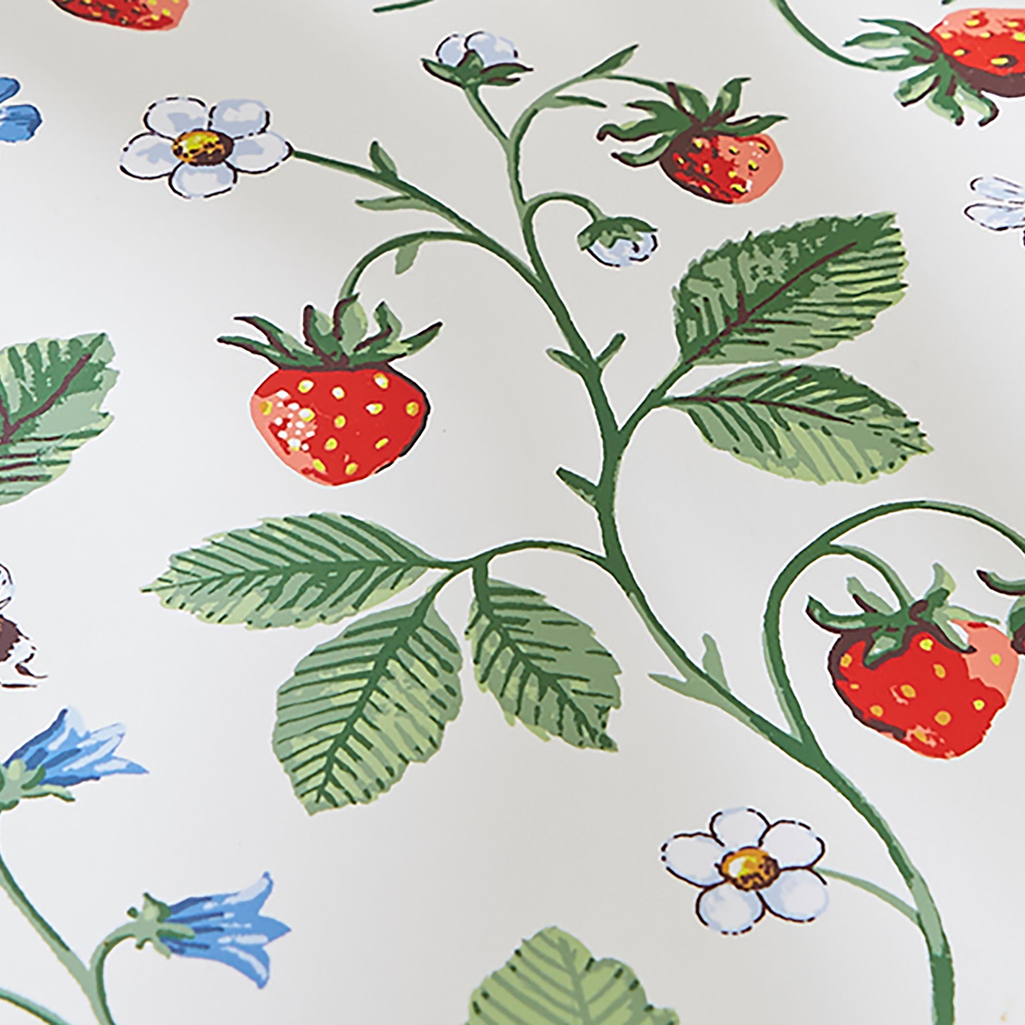 Strawberry Patch Placemat 4 Pack in Green - Placemat - Ulster Weavers