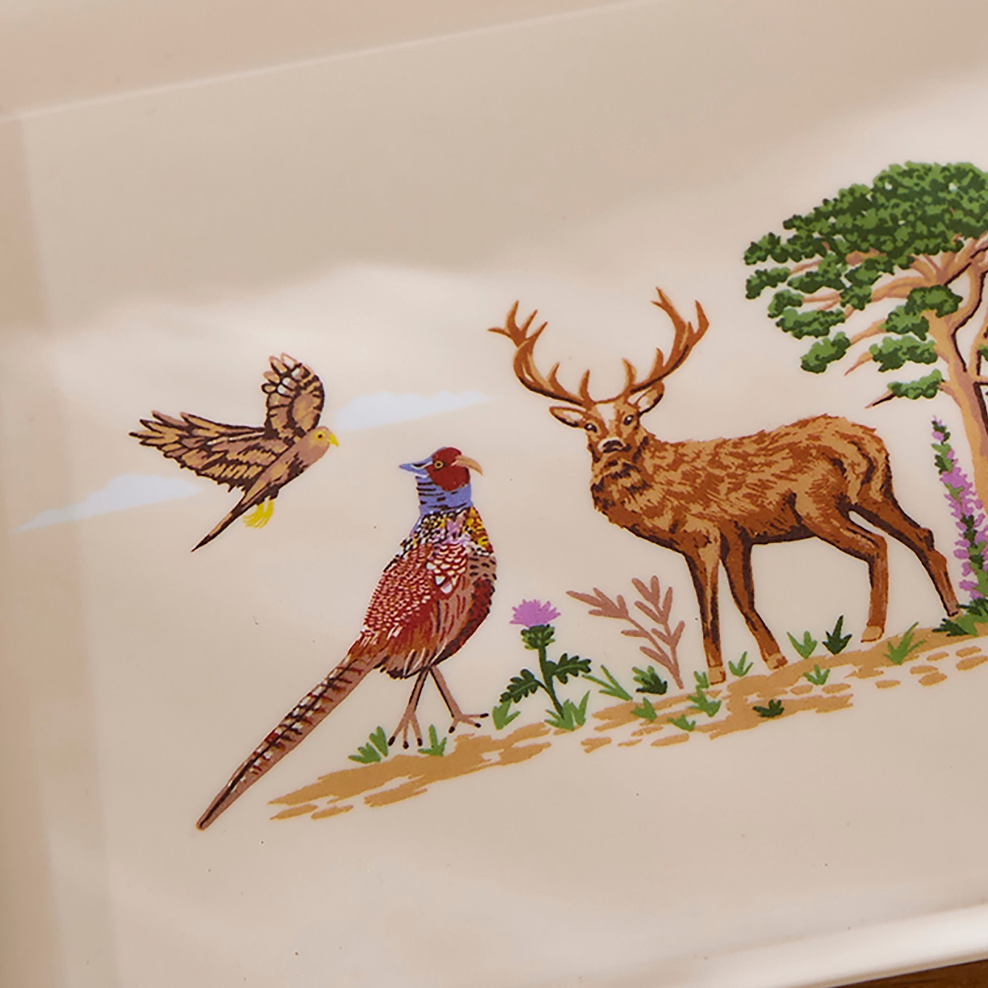 Thistlewood Scatter Tray in Green - Tray - Ulster Weavers