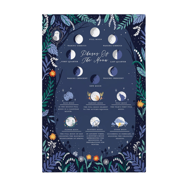 Ulster Weavers Phases of the Moon Tea Towel - Cotton One Size in Navy - Tea Towel - Ulster Weavers